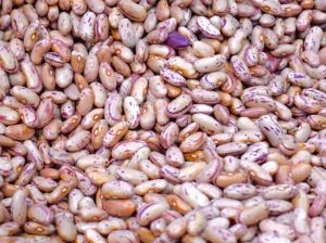 Purple Beans